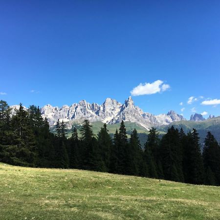 Il Finferlo Villa Bellamonte Kültér fotó