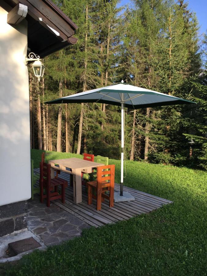 Il Finferlo Villa Bellamonte Kültér fotó